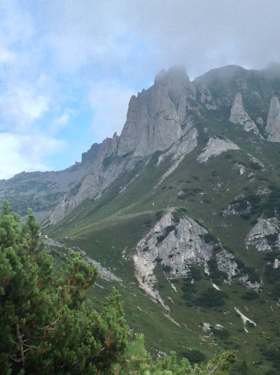 Affittacamere Valle Dorizzo Di Scavoni Paolo Val Dorizzo Luaran gambar
