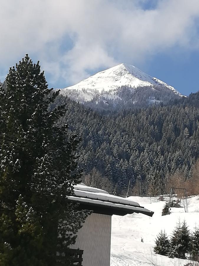 Affittacamere Valle Dorizzo Di Scavoni Paolo Val Dorizzo Luaran gambar